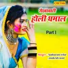 About Shekhawati Holi Dhamal Part 1 Song
